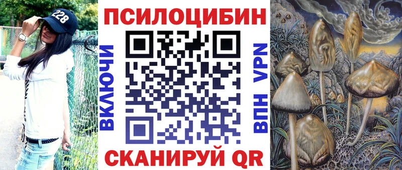 Псилоцибиновые грибы Psilocybe  Сланцы 